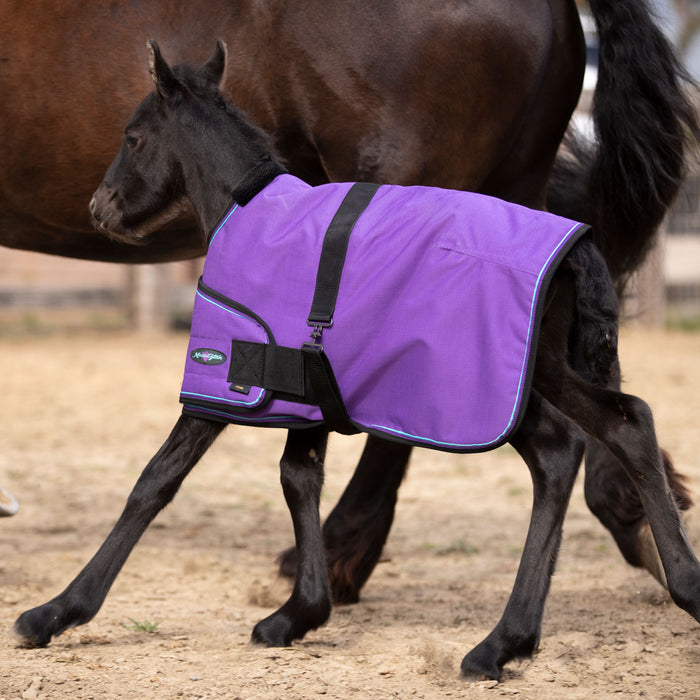 1200Denier Adjustable Foal "180G" Medium Weight Waterproof & Breathable Winter Turnout