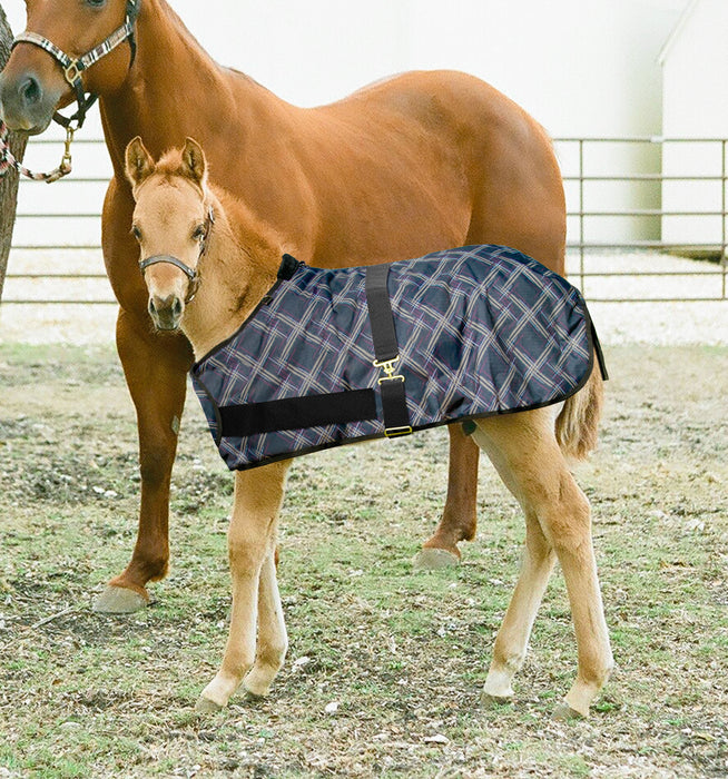 1200Denier Adjustable Foal "180G" Medium Weight Waterproof & Breathable Winter Turnout