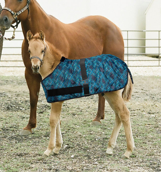 1200Denier Adjustable Foal "180G" Medium Weight Waterproof & Breathable Winter Turnout