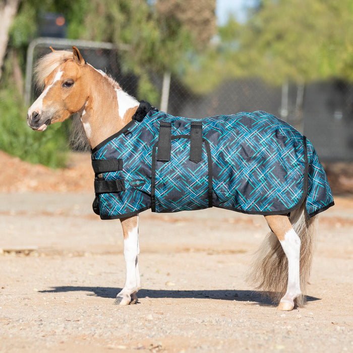 mini winter turnout blanket