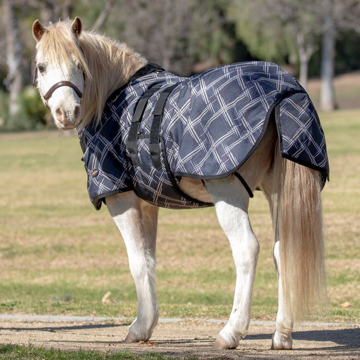 mini winter turnout blanket