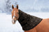 1,200Denier Horse "180G" Medium Weight Waterproof & Breathable Winter Neck Warmer