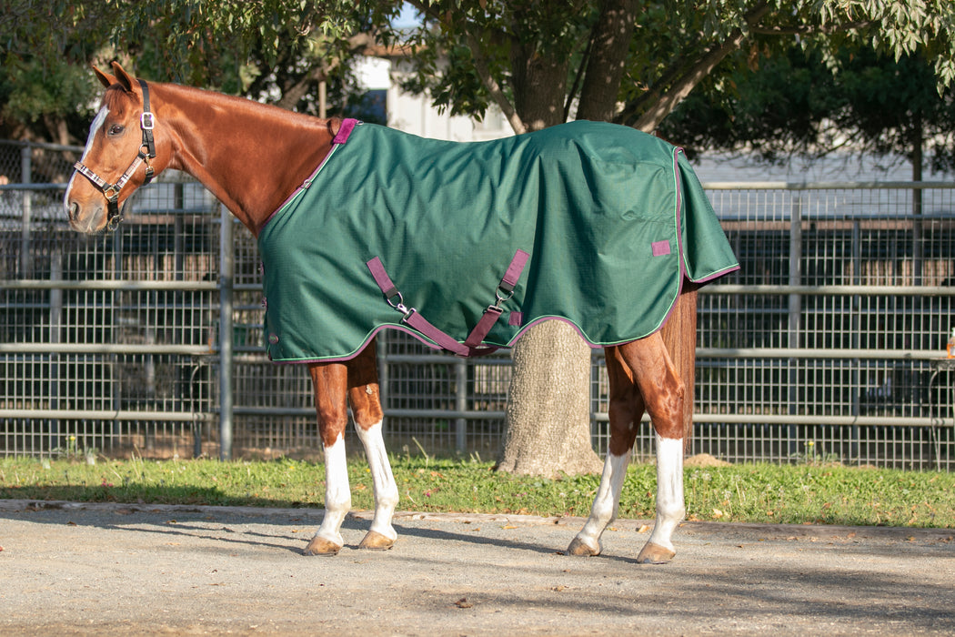 1200Denier Horse "80G" Ultra Light Weight Waterproof & Breathable Winter Turnout