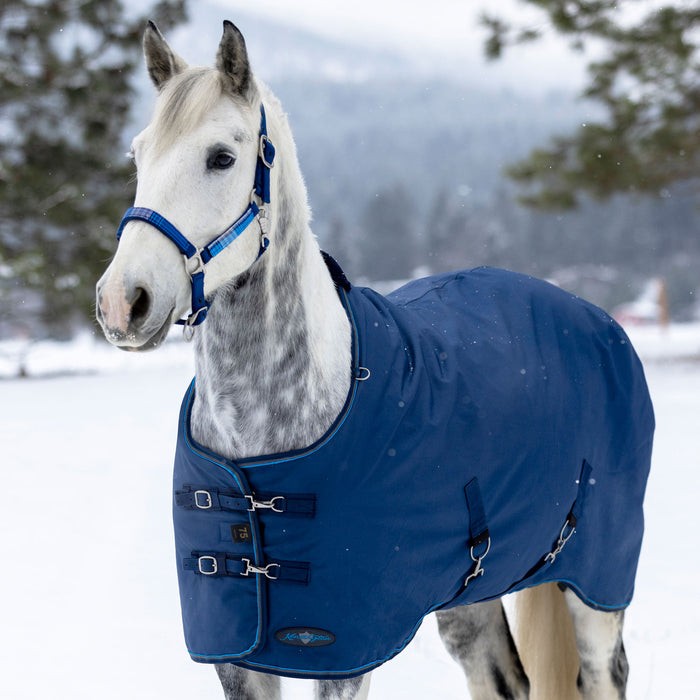horse winter blanket