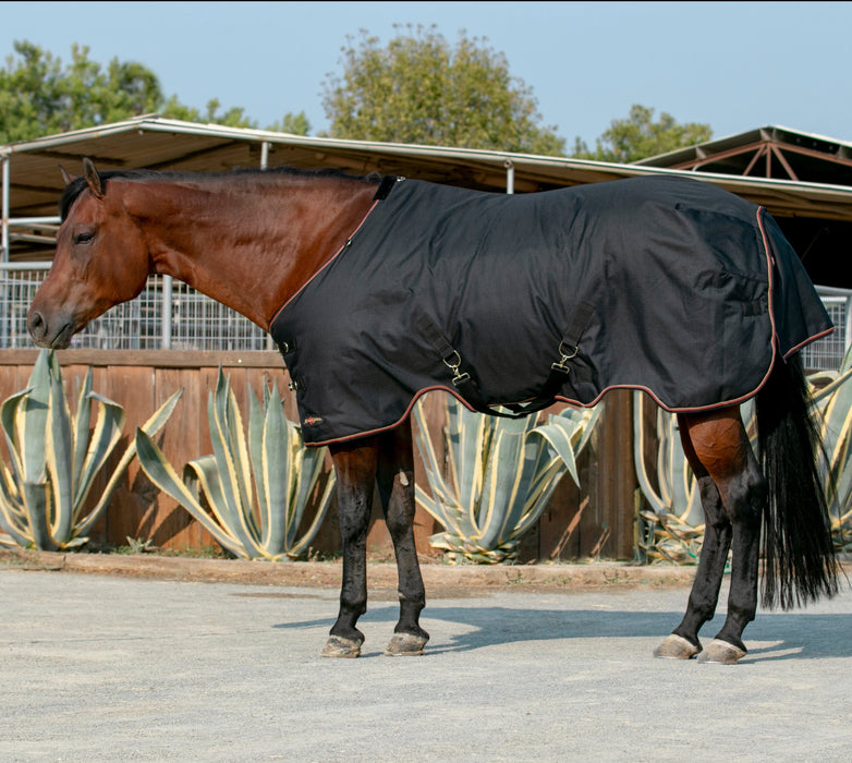 horse winter blanket
