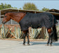 horse winter blanket