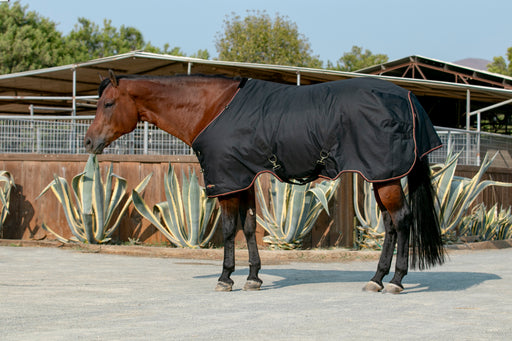 horse winter blanket