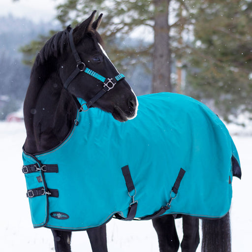 winter turnout blanket