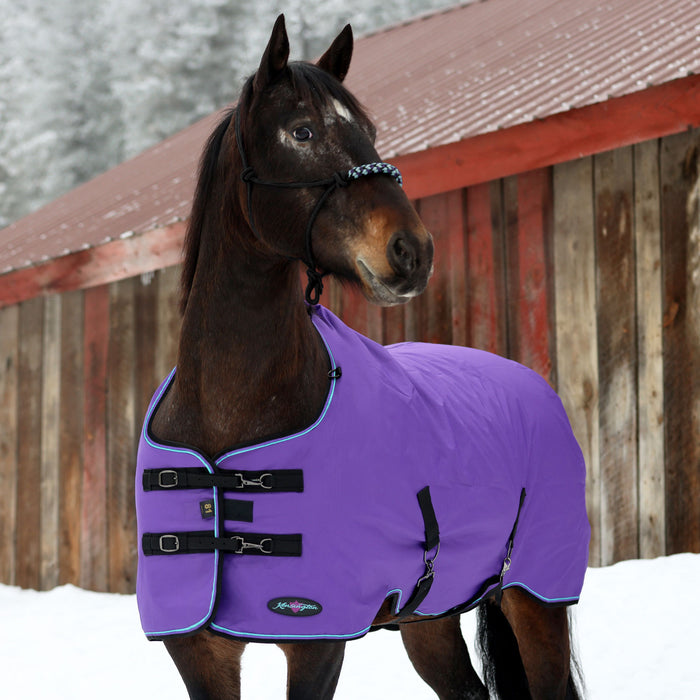 horse winter blanket