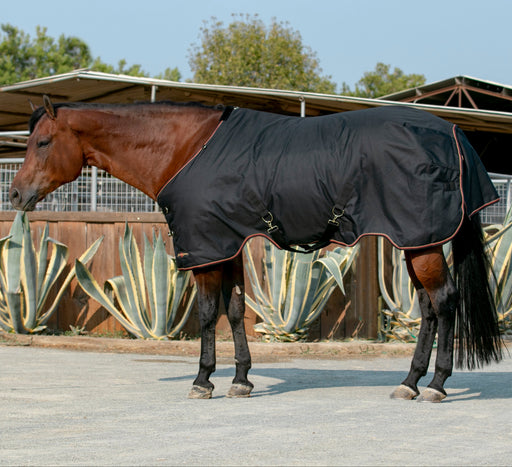 Kensington horse light weight winter blanket Black
