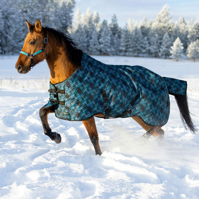 1,200Denier Horse "180G" Medium Weight Waterproof & Breathable Winter Turnout