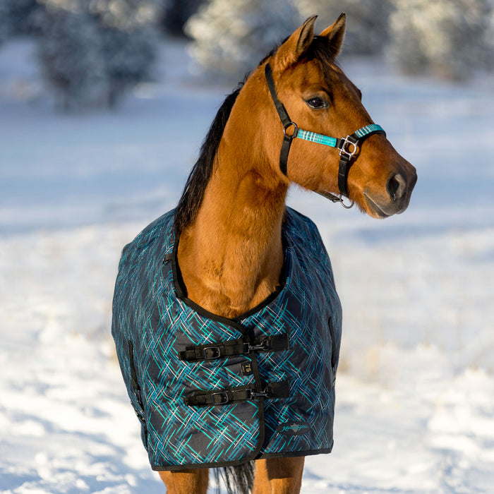 1200Denier Horse "300G" Heavy Weight Waterproof & Breathable Winter Turnout