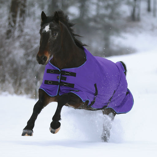 1200Denier Horse "180G" Medium Weight Waterproof & Breathable Winter Turnout