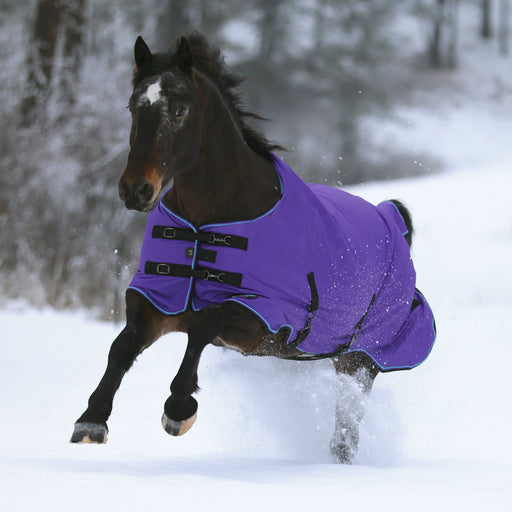 1,200Denier Horse "300G" Heavy Weight Waterproof & Breathable Winter Turnout