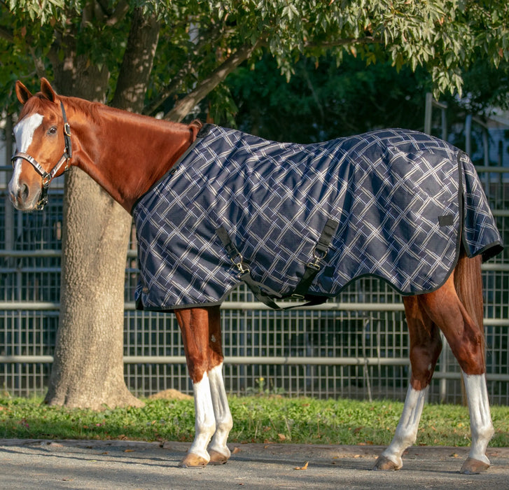 horse winter blanket