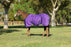 1200Denier Pony "300G" Heavy Weight Waterproof & Breathable Winter Turnout