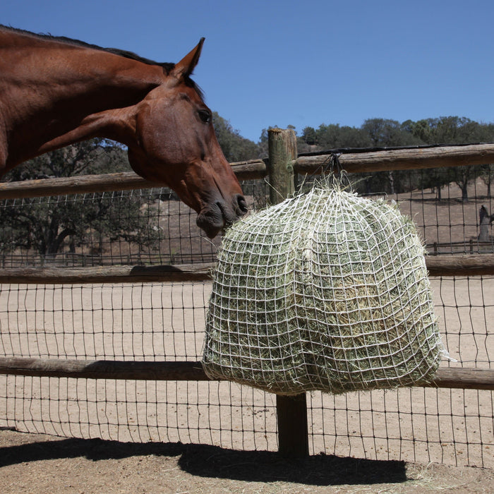 Freedom Feeder Day Net / 4 Flake. Slow fed hay net