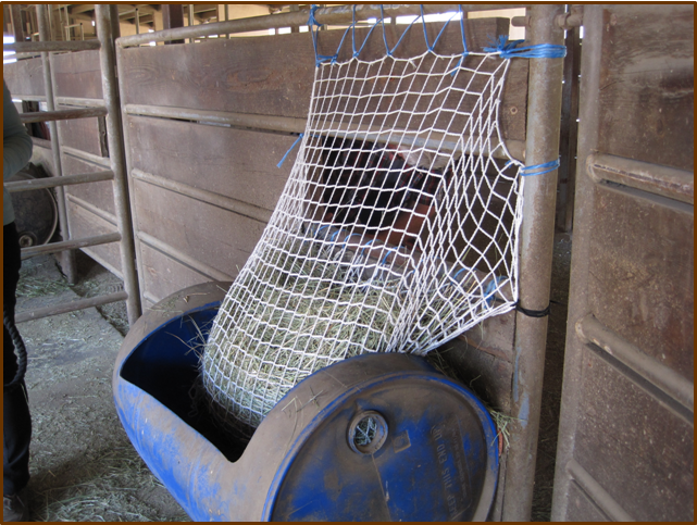 Freedom Feeder Extended Day Net 2 String Bale. Slow fed hay net