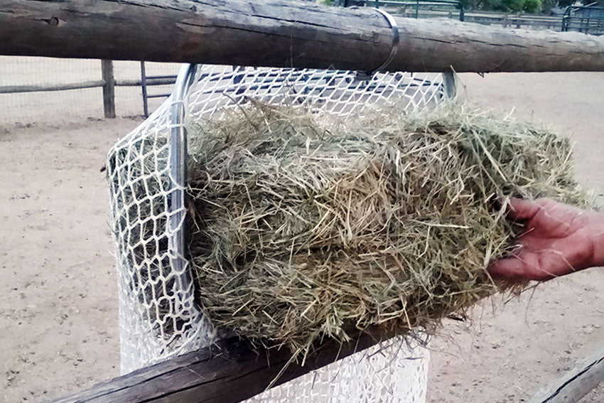 Slow Feed - Freedom Feeder Frame