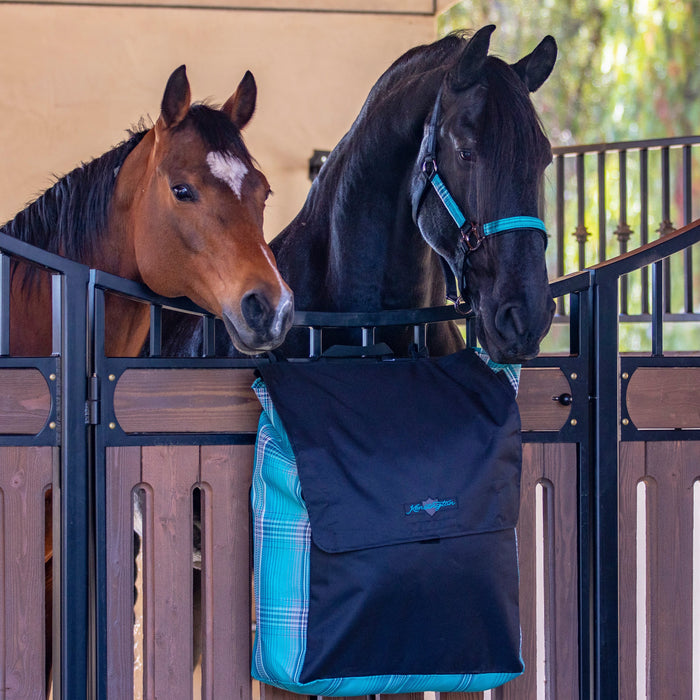 Stall front with blanket storage bag and two horses.