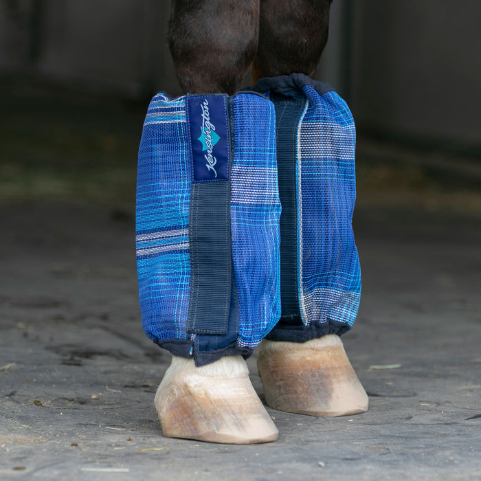 Royal bubble fly boots on horse leg.