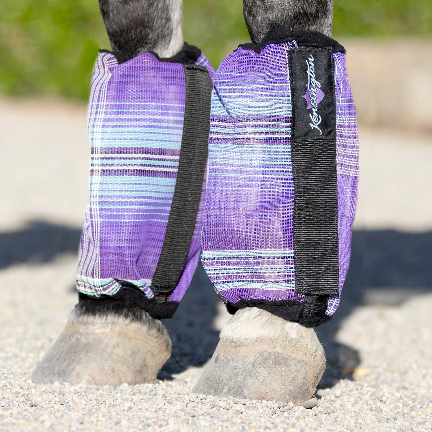 Fly Boots