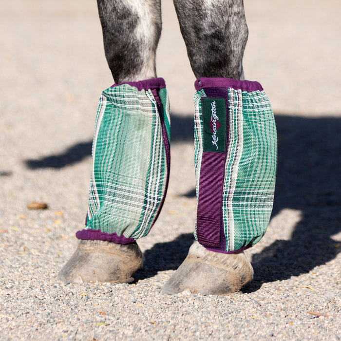 Jade and plum bubble fly boots on horse leg.
