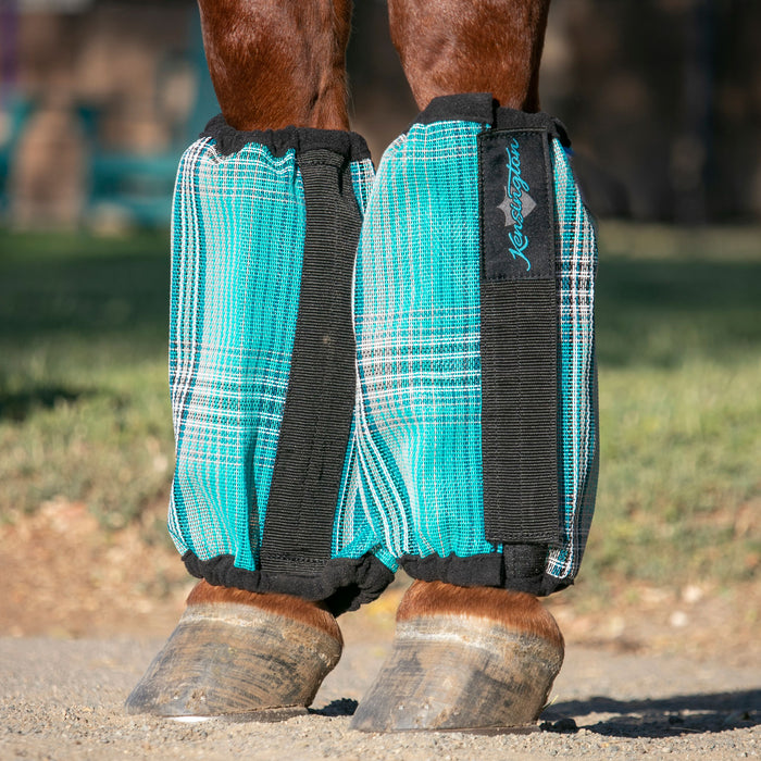 Aqua bubble fly boots on horse leg.