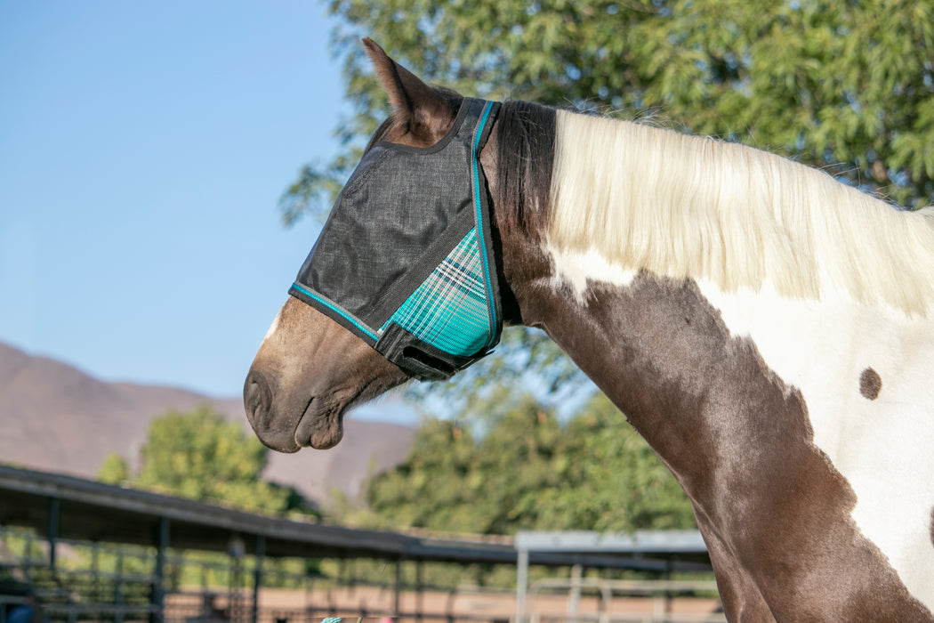 90% UV Fly Mask CatchMask UViator - Open Ear Design with Forelock Freedom