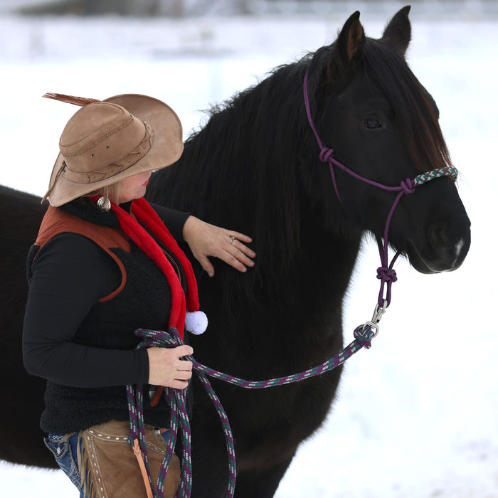 Plum, hunter and gold clinician rope halter on black horse being lead by woman. 