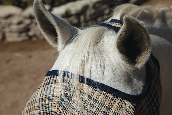 73% UV Fly Mask with Fleece Trim - Open Ear Design with Forelock Freedom