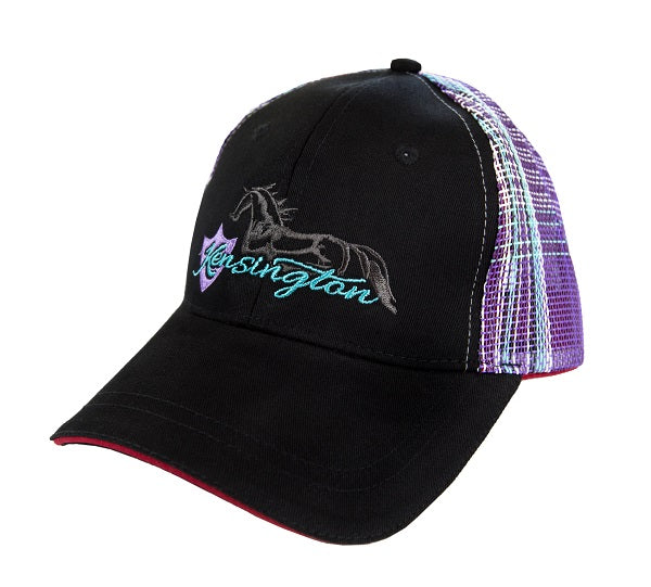 Baseball hat in black and purple. 