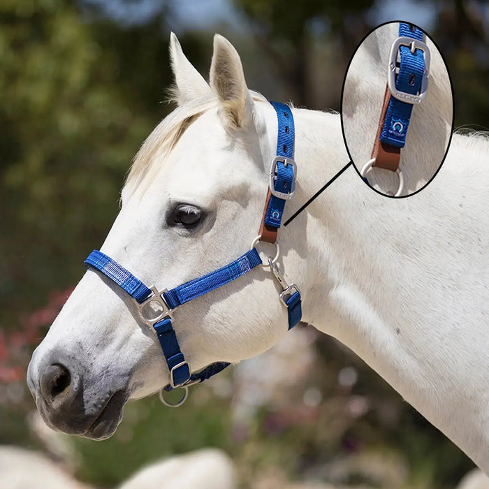 Tough 1 Break-Away Halter, Black Tough 1 Break-Away Halter, Black