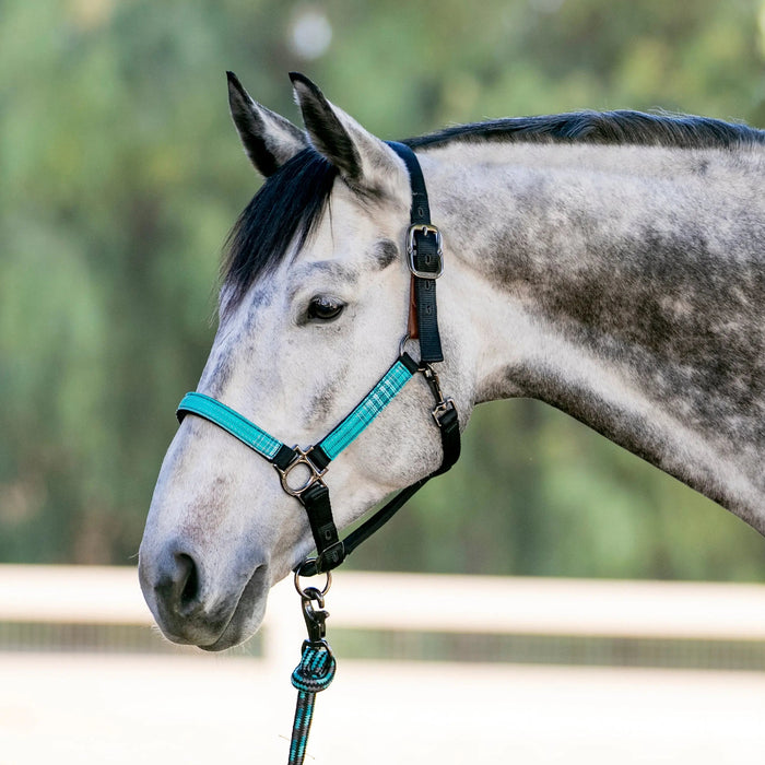 Reflective Breakaway Nylon Halter with Textliene Kensington Protective Products