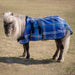 Mini textilene protective fly sheet. UV protection. Miniature horse. Blue plaid