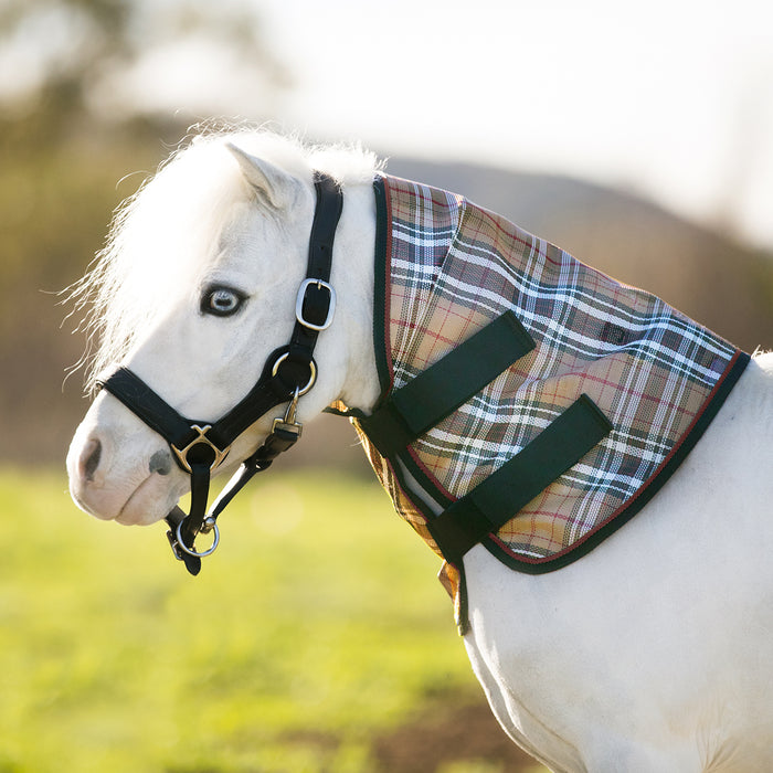 Mini Donkey Protective Neck Cover - 73% UV Blocking