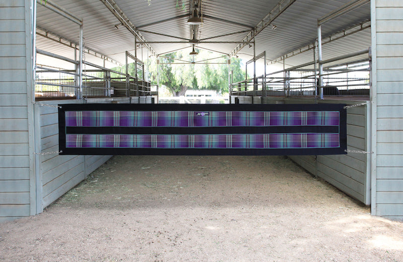 Barn aisle guard in purple and aqua.