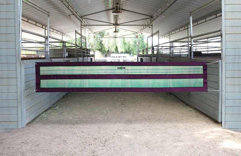 Barn aisle guard in jade and plum.