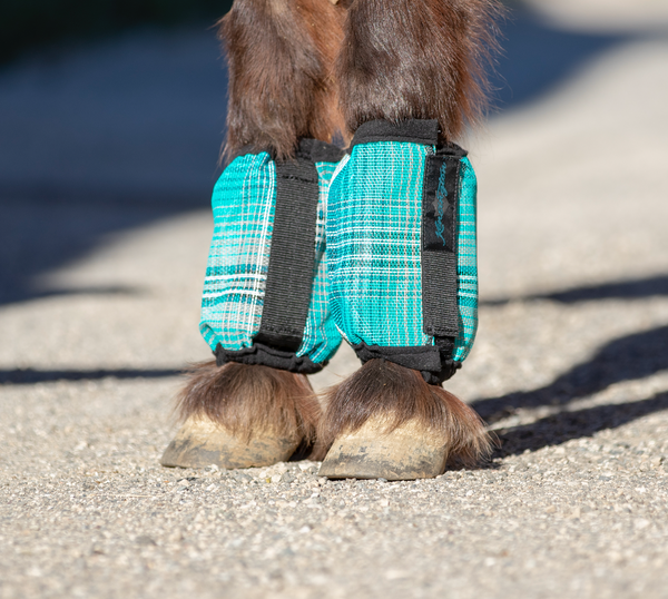 Mini horse 2025 fly boots