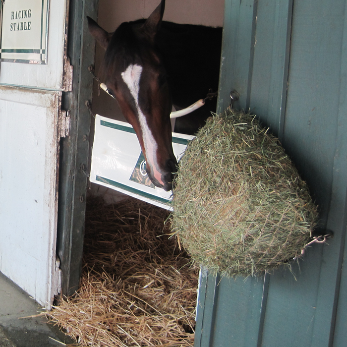 Freedom Feeder Day Net / 4 Flake. Slow fed hay net