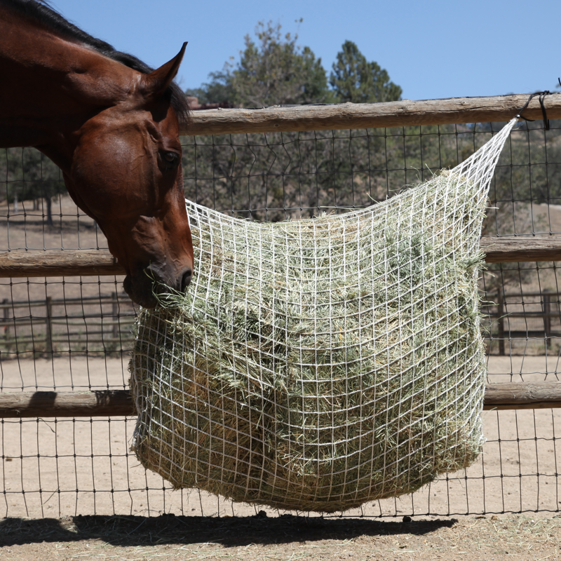 Extended Day Net / 2 String Bale