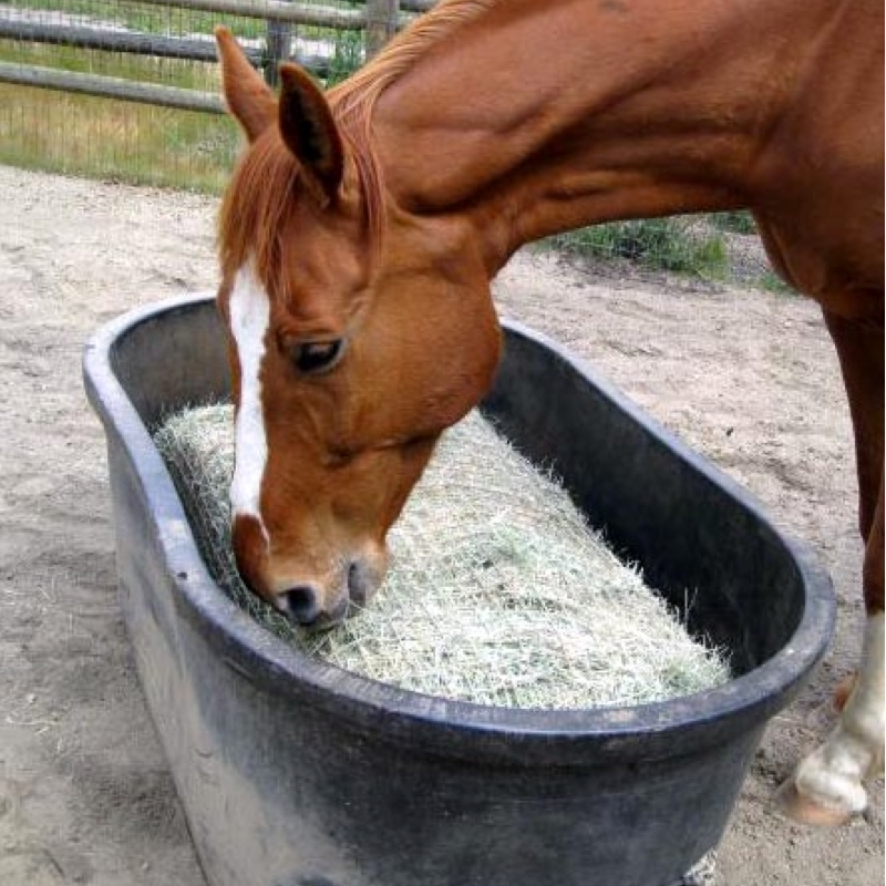 Freedom Feeder Hay Bales