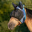 90% UV Fly Mask Dartless UViator - Soft Mesh Ears with Forelock Opening