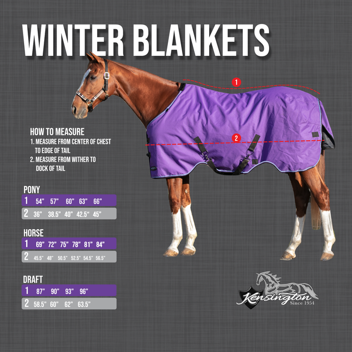 1,200Denier Pony "180G" Medium Weight Waterproof & Breathable Winter Turnout